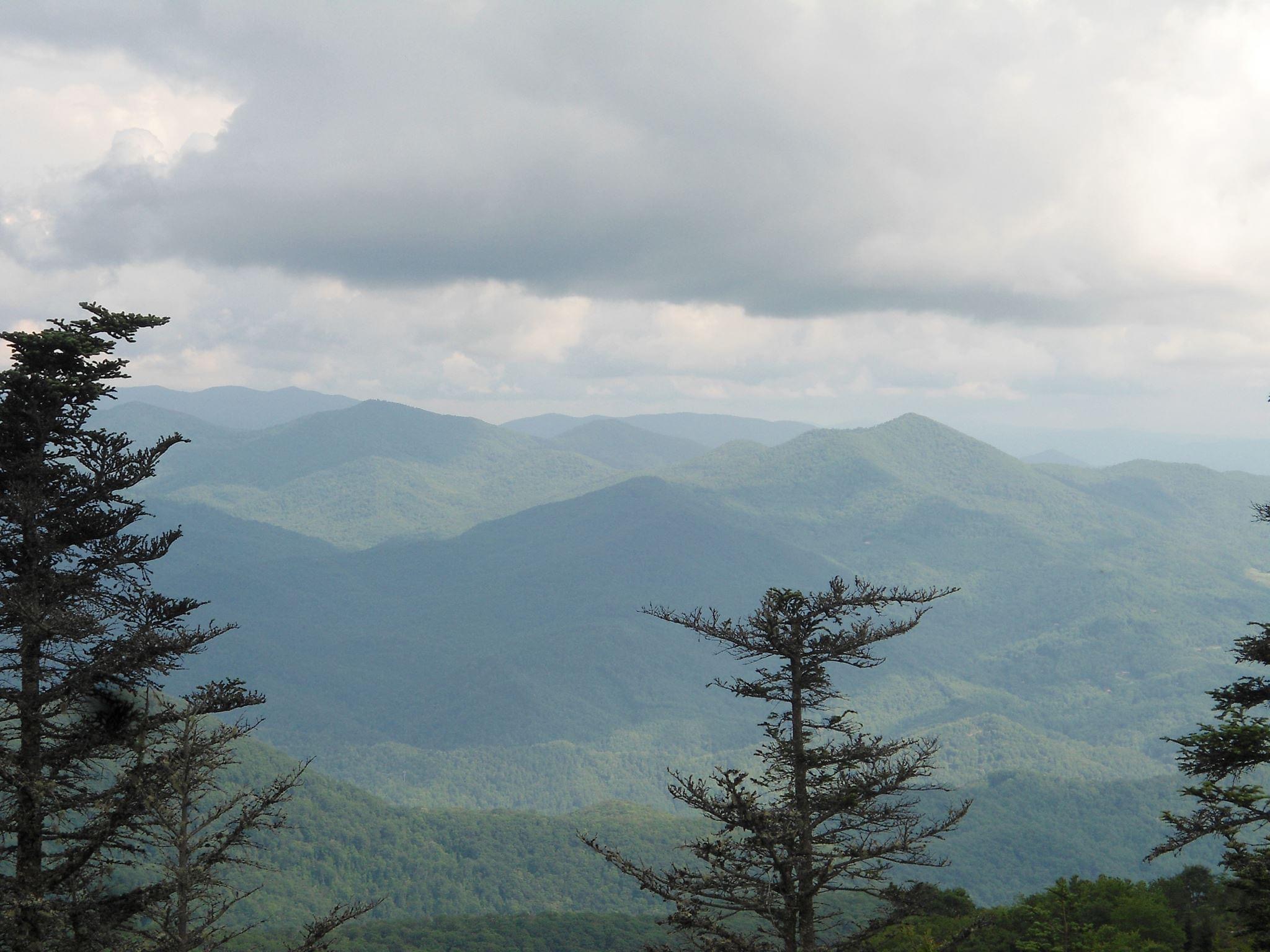 Elevated RN freelance health content writing